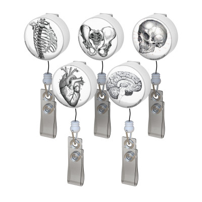 Vintage Anatomy Button Badge Reel Pack