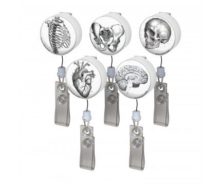 Vintage Anatomy Button Badge Reel Pack