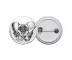 Vintage Pelvis Diagram Pinback Button
