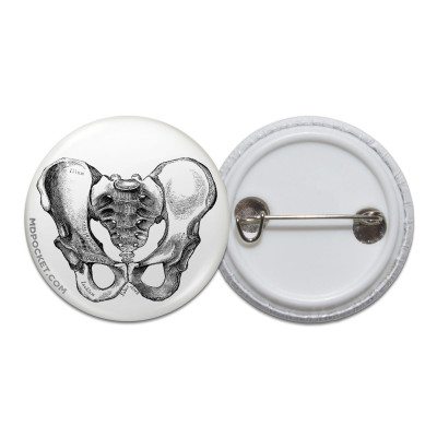 Vintage Pelvis Diagram Pinback Button