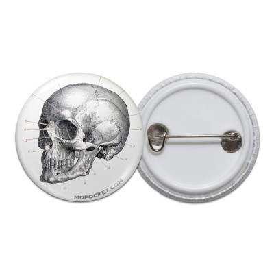 Vintage Skull Diagram Pinback Button