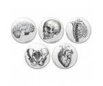 Vintage Anatomy Pinback Buttons