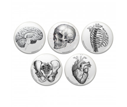 Vintage Anatomy Pinback Buttons