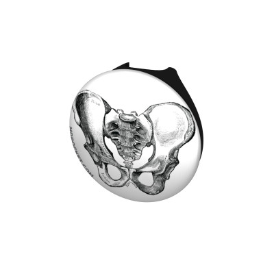 Vintage Pelvis Diagram Stethoscope Button