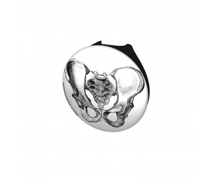 Vintage Pelvis Diagram Stethoscope Button