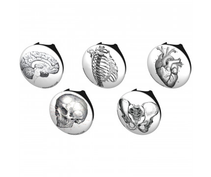Vintage Anatomy Stethoscope Button Pack